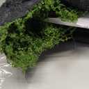 Artificial Green Moss Mat, Carpet Grass Wall with Base Fabric 39.37 * 39.37 inch Fake Moss for Crafts, Faux Moss for Plants Indoor Green Faux Grass for DIY Table Centerpieces Floral Wedding