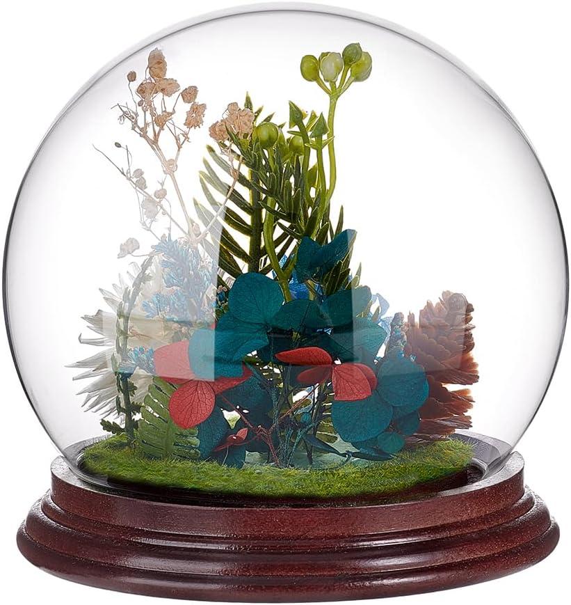 PH PandaHall 4.5x4.4 Cloche Glass Dome Display Clear Dome with Base Mini Crystal Display Case Vintage Style Centerpiece Stand Bell Jar for Watch Jewellry Miniatures Figurines Display