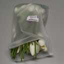 30pcs Artificial Tulips Flowers Real Touch Tulips Fake Holland PU Tulip Bouquet Latex Flower White Tulip for Wedding Party Office Home Kitchen Decoration (Pure White)
