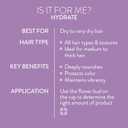 Pureology Hydrate Shampoo - For Dry or Color Treated Hair, Moisturizing Shampoo For Hydration & Softness, With Rose Extract & Green Tea, Vegan & Sulfate-Free (9 Fl Oz (Pack of 1))