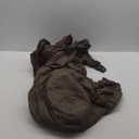 Shade Cloth for Garden,80% Mesh Tarp with Grommets Shade Cloth for Greenhouse,Patio,Vegetables,Plants Cover and Chicken Coops,Coffee Shade Net for Outdoor Garden (8x10FT)