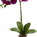 Nearly Natural 20in. Orchid Phalaenopsis Artificial Arrangement in Vase