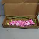 IPOPU 5 Pcs Pink Artificial Orchid Flowers 30.3” Latex Fake Orchid with Long Stem for Tall Vase Wedding and Engagement Centerpiece Arrangement Living Room Home Decor(Hot Pink)