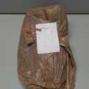 Morph Costumes School Girl Zombie Costume for Kids - Kid Zombie Costume Girl - Kids Halloween Costumes Girls Scary (Large)