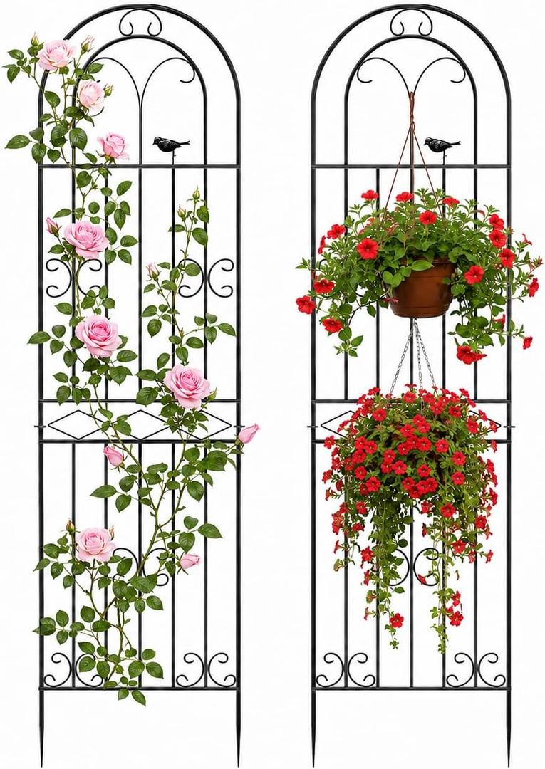 2 Pack 78.7" x 19.6" Iron Arch Decoration Garden Trellis, Metal Climbing Plant Trellis for Heavy Vines, Roses, Flowers, and Vegetables, Perfect for Gardens, Lawns., 80 Inches X 20 Inches