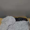 Active Pets Calming Plush Dog Bed Donut Joint Support Anxiety Relief Washable Pet Bed with Removable Cover for Dogs Cats, Large 36", Light Grey