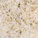 Uptotop 1/2 LB Crinkle Cut Paper Shred Filler for Gift Wrapping, Gift Basket Filling, Perfect for Birthday, Christmas, Thanksgiving, Halloween, Easter, Valentine's Day, Mother's Day, Father's Day, Wedding & Holiday Decor, White (8 Ounce (Pack of 1))