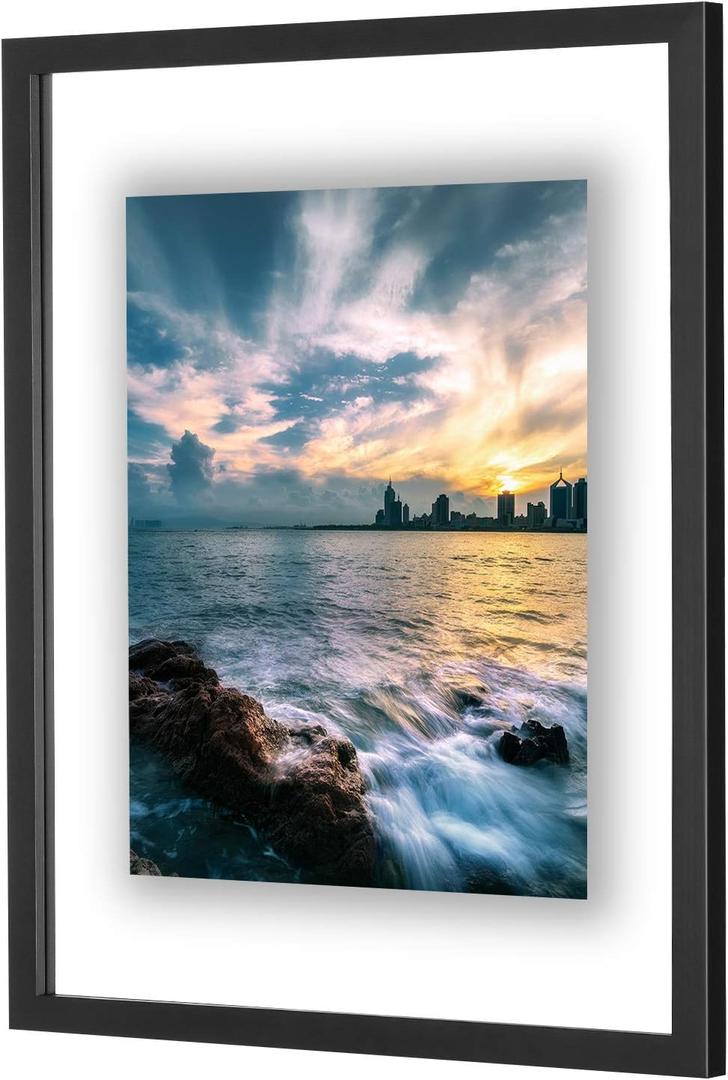 ONE WALL 16x20 Inch Floating Frame, Black Wood Double Glass Float Picture Frame Display 16x20/11x14 Inch Photos or Plant or Petal Specimens for Wall Hanging - Mounting Accessories Included ONE WALL 16x20 Inch Floating Frame, Black Wood Double Glass Float Picture Frame Display 16x20/11x14 Inch Photos or Plant or Petal Specimens for Wall Hanging - Mounting Accessories Included