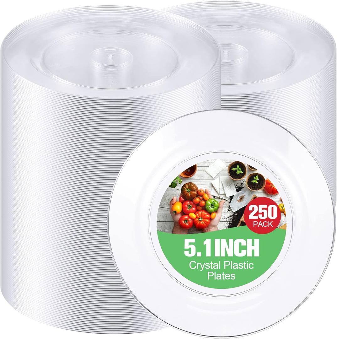 Zopeal 250 Pcs 5 Inch Plastic Dessert Plates Bulk Disposable Small Clear Appetizer Round Wedding Cake Plates Heavy Duty for Dinner Party BBQ Picnic Travel Event Birthday Supply