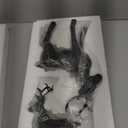 2 Set Modern Christmas Decor Neutral Christmas Reindeer Decor Resin Deer Statues Figurines Elk Statues for Neutral Modern Living Room Bedroom Office Bookshelf Desk Ornaments(Black,Small)