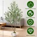 Timoo Faux Olive Tree 6FT Tall Olive Trees Artificial Indoor with White Planter, Artificial Plants Indoor Faux Tree with Realistic Leaves and Lifelike Fruits, Fake Plant for Home Office Decor