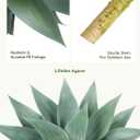 Velener Artificial Outdoor Blue Agave Plant - Small Size UV Resistant Fake Agave Plants for Indoor and Outdoor Decor(28 Inch)-2 Pack
