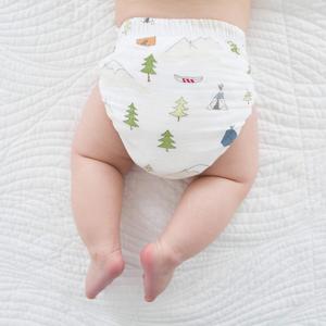 Amazing Baby Hybrid Cloth Diaper Cover with Pocket-Sling, Small, Sz 2 (8-15 lbs), Use with Boosties Inserts, Outdoor Adventure, SmartNappy Set includes Muslin Cover + Tri-fold Insert + Booster Pad (Size 2, 8-15 Pound)