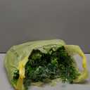 DearHouse Faux Eucalyptus Garland Plant, 2 Pack Artificial Vines Hanging Eucalyptus Leaves Greenery Garland for Wedding Backdrop Arch Wall Decor, 6 Feet/pcs UV Protected Indoor Outdoor