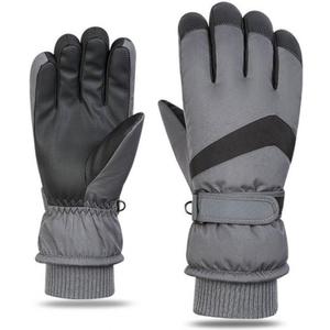 2 x Women Ski Snow Gloves Windproof Thermal Gloves Men Winter Warm Glove Mitts Touchscreen for Skiing/Cycling/Working (Large)