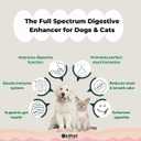 Oh!Pet 5-in-1 Digestive Probiotics  7B CFU Powder for Dogs & Cats with Prebiotics & Enzymes (Chicken, 30 Packets)