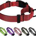 BXPAW Martingale Dog Collars Adjustable Training Martingale Collar for Dogs - Reflective No Pull Dog Collar with Quick Release Buckle (Red, L)