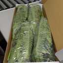 FOREST PRINCE 35" Fake Ferns, 4 Large Artificial Bonston Ferns Bushes Plants with 39 Fronds for Outdoors Garden Patio Porch Entrance Low Maintain Home Decor