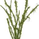 Fake Moss Ficus Twig Plants Faux Branches for Vase Filler Artificial Greenery Stems Silk Moss Green Plants for Home Office Party Wedding Shop Decoration