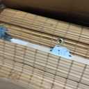 LazBlinds No-Drill Cordless Roman Shade - Light Filtering Natural Wood, Easy Install Bamboo Blind for Windows 36" W x 64" H, Malay Oak
