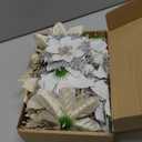 Yunsailing 30 Pcs Poinsettia Christmas Artificial Glitter Flower Xmas Flower Poinsettia for Xmas Christmas Tree Craft Decor (Champaign Gold, Silvery White)