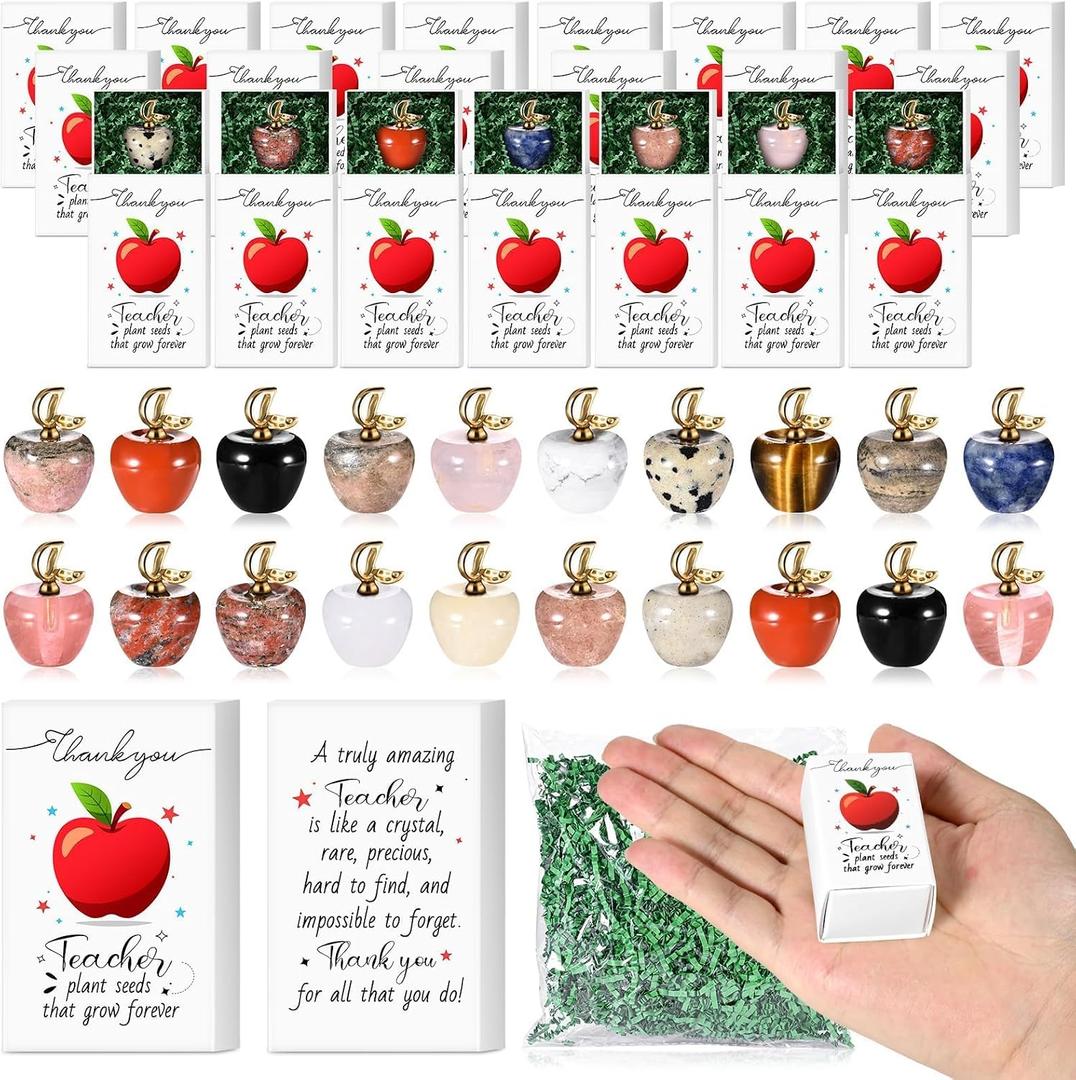 20 Sets Teacher Appreciation Gifts in Bulk Thank You Teacher Desk Decor Mini Apple Teacher Pocket Hug Token with Green Moss Thank You Gifts for Teacher Coworker Staff Employee Appreciation Gifts