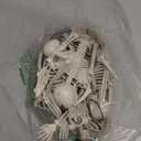 JOYIN 5 PCS Posable Halloween Skeleton Decor 16 Inches, Full Body Posable Joints Hanging Skeletons for Halloween Decorations, Graveyard Props, Haunted House Accessories, Spooky Scene Party Favors (Original)