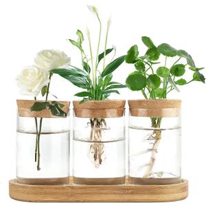 Dahey Plant Propagation Terrarium Desktop Glass Planter Station Water Planting Glass Vase with Lid and Wooden Stand for Propagating Hydroponic Plants Centerpiece Office Home Garden Decor, 3 Pcs (Medium, Brown, Clear)