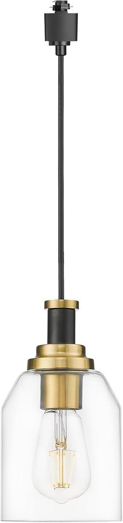 Zeyu H Type Track Lighting Pendant, Farmhouse 1-Light Black Ceiling Track Hanging Light Fixturs for Dining Room Bedroom, Clear Glass Shade, Black and Gold Finish, ZG33TP BK+BG