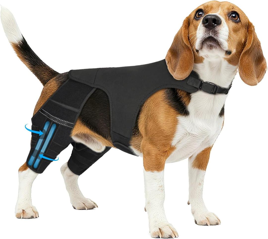 Dog Knee Brace for Torn Acl Hind Leg, 4 Stabilizers Dog Leg Braces for Back Leg, Adjustable Hip Support to Reduces Pain, Ligament Injuries, Luxating Patella, Medium