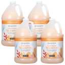 Ginger Lily Farms Botanicals Moisturizing Shampoo for All Hair Types, Coco Mango, 100% Vegan & Cruelty-Free, Coconut Mango Scent, 1 Gallon Refill (Pack of 4)