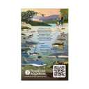 3 x Sunbelt Bakery Oats & Honey Chewy Granola Bars, 14.26 Oz. 15 Count (Box of 1)