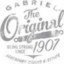 Gabriel 85000 Fleetline Heavy Duty Rear Shock Absorbers for Hendrickson Intraax and Vantraax Trailer Air Suspensions, Replaces OEM# A-20002, B-23013, B-23566, B-24088 (1 Pack)