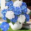 12 Heads Artificial Flowers for Outdoors, UV Resistant Faux Hydrangea Flowers for Outdoor Planters Front Porch Garden Window Box Patio Decor White & Blue