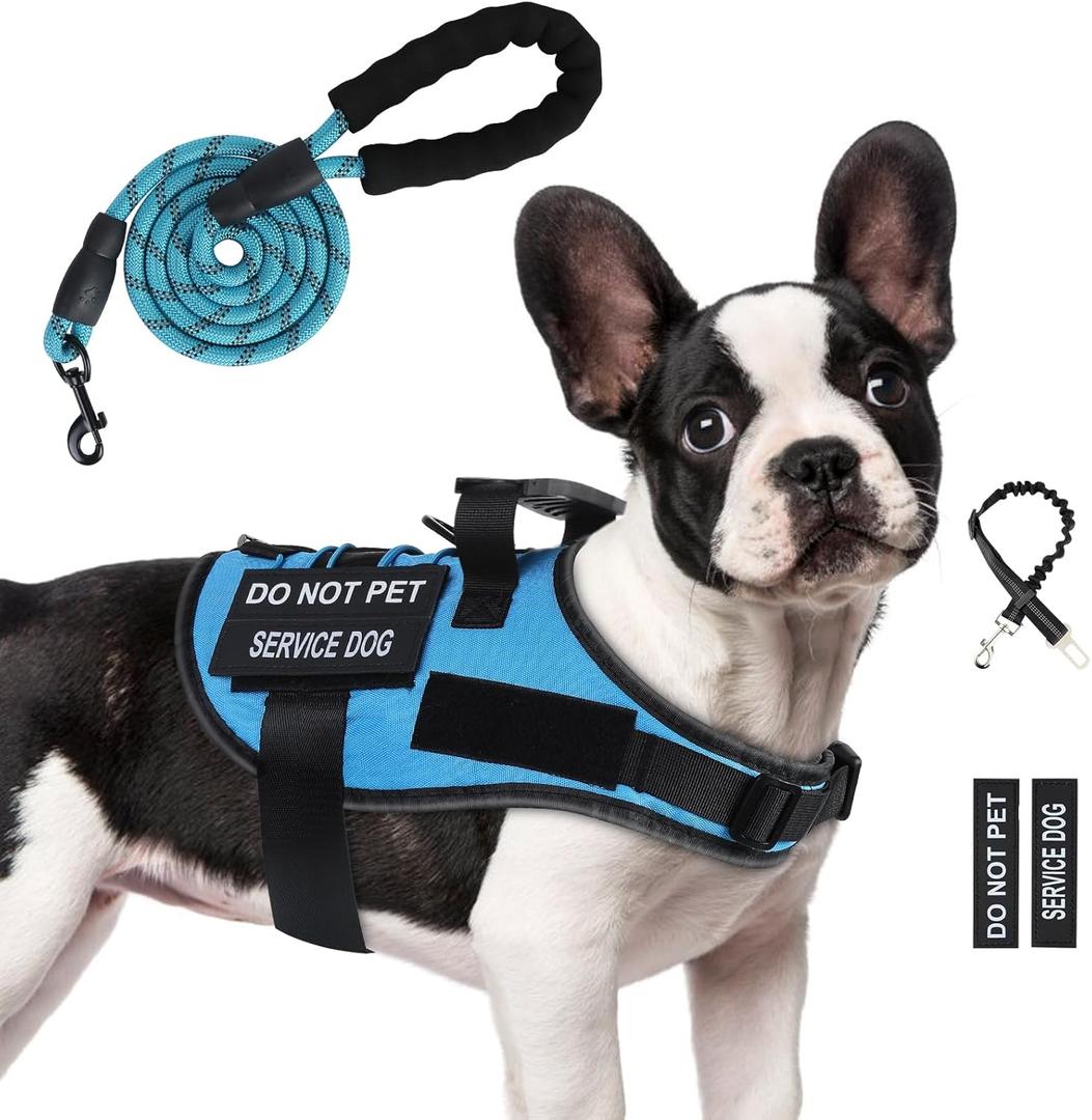 No Pull Dog Harness Small Medium Sized Dog, Service Dog Harness and Leash Set with 4 Patches, Adjustable Easy Walk Dogs Harnesses with Handle, Dogs Vest Harnesses French Bulldog, Chihuahua(Blue, S)
