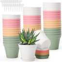 GREANER 48 Packs Succulent Pots, Colorful Small Flower Pots with Drainage Holes and Tray, Plastic Planters with 20 Pcs Plant Labels for Indoor Plants(4 Inch)