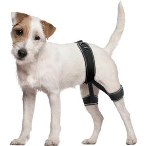 CHAMIN Dog Hip Orthotics Brace, Dog Hip Dysplasia Brace Harness, Support for Hip Dysplasia, Luxating Patella, Prevent Hip Joint Diseases and Assisted orthopedics, et(Medium)
