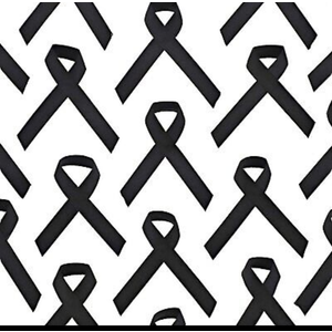 Ns Awareness Ribbons With Pins Black 250 Pack