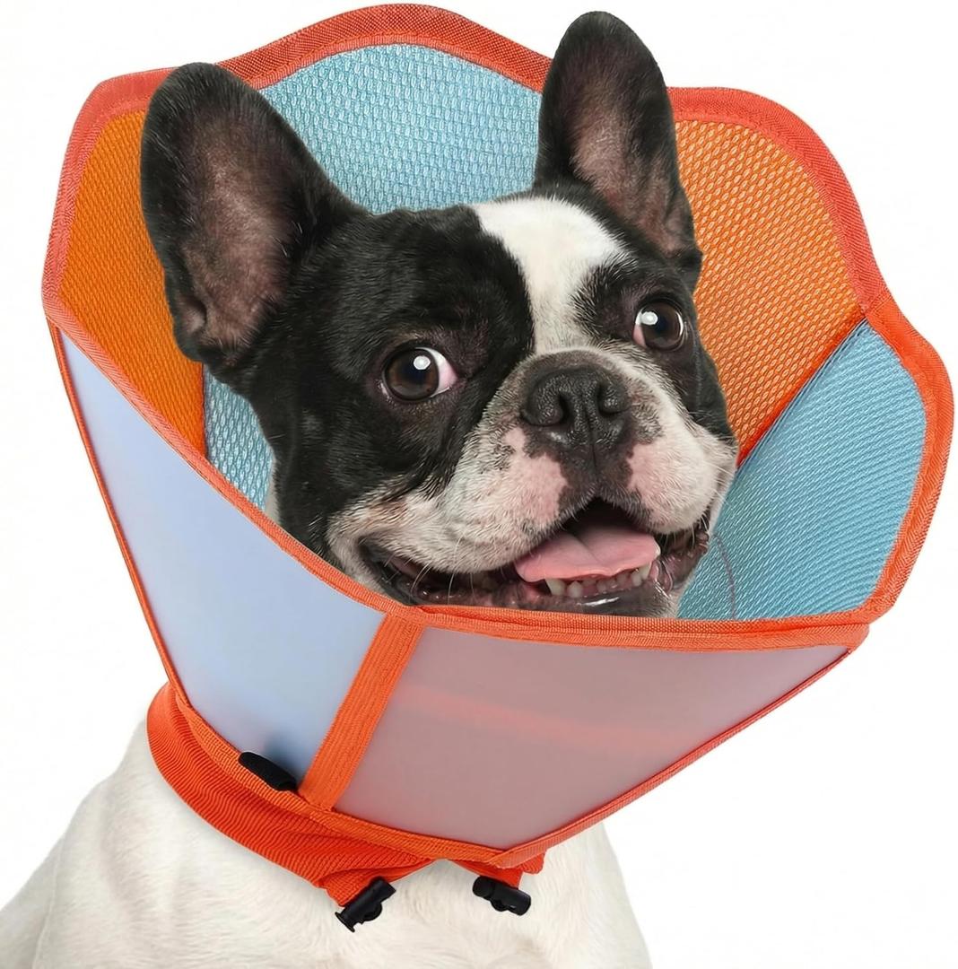 AOFITEE Dog Cone - Cones for Dog to Stop Licking, Dogs Soft Cone After Surgery, Adjustable Dogs Cones Collar Elizabethan Pet E-Collar for Medium Pets, Pet Recovery Collar, Orange/Blue, Medium