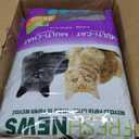 Fresh News Multi-Cat Non Clumping Paper Cat Litter, 25 Pound, Packaging May Vary