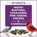 Pennington Pride Songbird Nut & Fruit Blend, Wild Bird Seed for Outside Feeders, Advanced Nutrition Formula for Health, Bird Food, 10-lb. Bag (EXP 08/26/26)