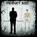 2-Pack Life Size Easy to Pose 5.4FT Skeleton Halloween Decoration