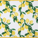 Fiesta Tableware Company 16x10 inch