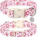 DOGWONG Valentine's Dog Collar, Adjustable Durable Pink Heart Dog Collar Cute Dog Collar for Small Medium Dogs
