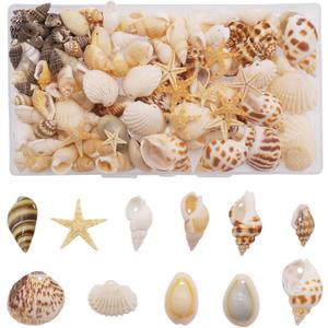 yaokan 130PCS/Box Mixed Lots Sea Shell Cowrie Conch Starfish Ocean Beach Spiral Seashell with Hole for Resin Craft Candle Making Wishing Bottle Wedding Home Fish Tank Decoration