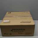 Progress Lighting Leap Collection Two-Light 14'' Flush Mount (Nickel)