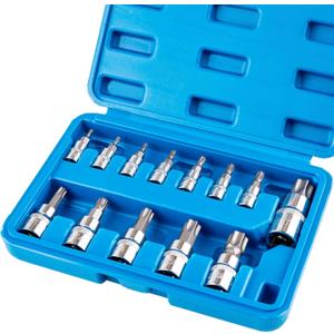 13-piece Torx Socket Set, T8-T60 Star Bits Kit with 1/4", 3/8", 1/2" Drive, S2 Steel & CR-V Construction, Built for Automotive, Furniture & Equipment Repair