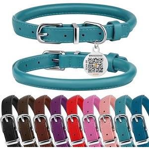 BRONZEDOG Rolled Leather Dog Collar for Small Medium Large Dogs with QR ID Tag (XS: 9-11 Inch, Teal)