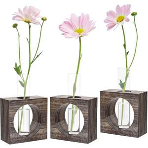 Plant Propagation Station, Glass Test Tubes with Wooden Stand for Plants, Propagation Tubes for Birthday, Housewarming, 3 Pack Plant Terrarium Vase