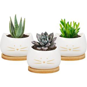 Koolkatkoo 3.2 Inch Cute Cat Ceramic Succulent Planter Pots with Removable Saucer Unique Cactus Planters Porcelain Decorative Flower Pot for Cat Lovers Set of 3 White